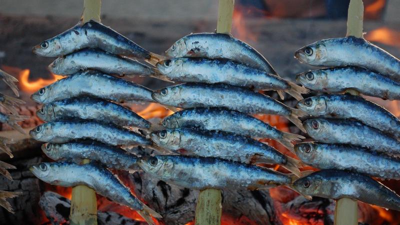 Los espetos es uno de los aperitivos que se pueden comer en Málaga