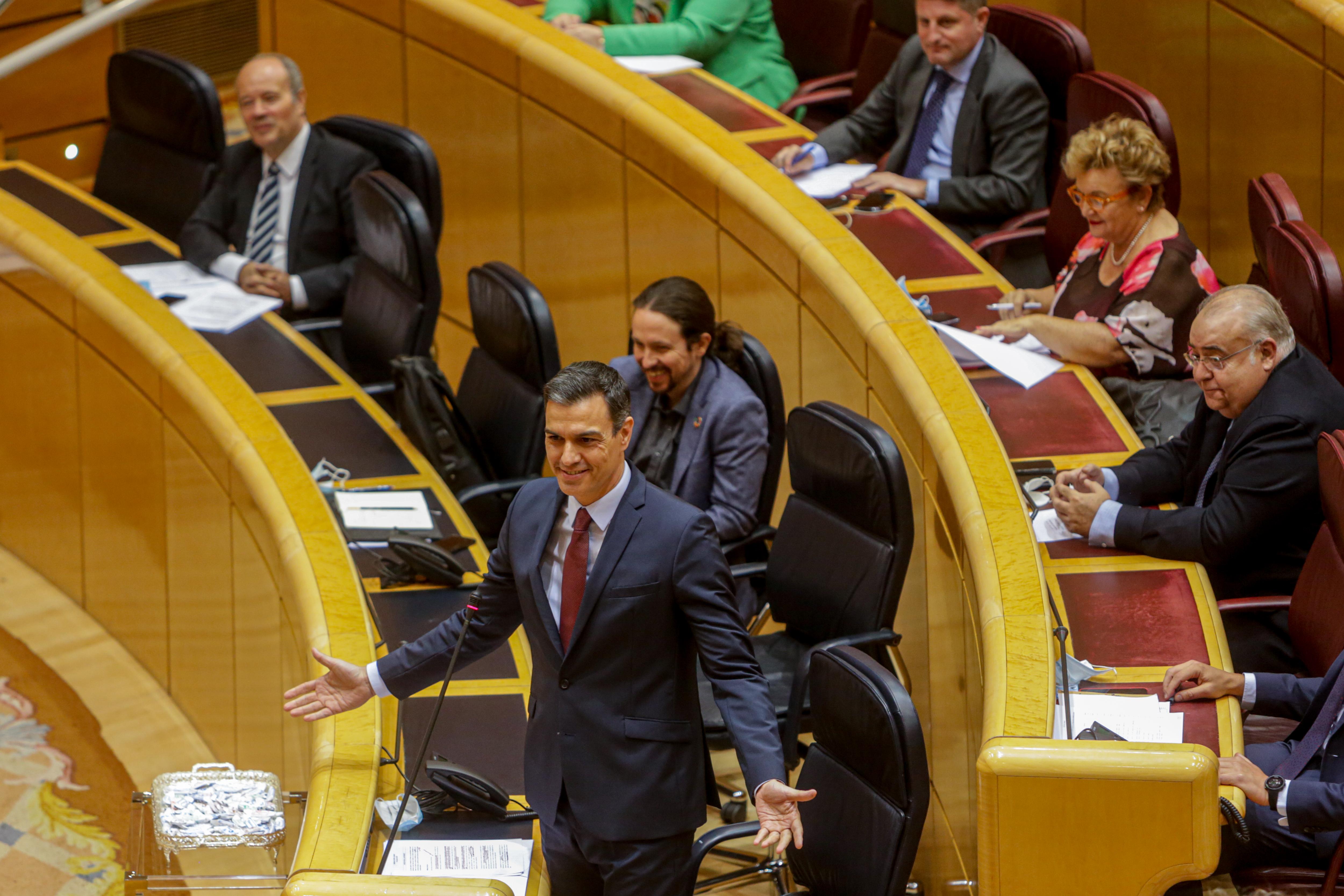 Pedro Sánchez en sesión de control en el Senado. EP