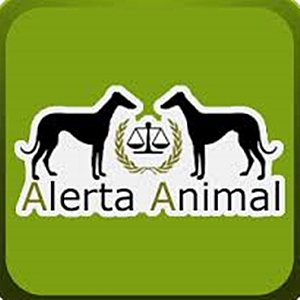 Alerta animal, la aplicación para denunciar casos de abandono o maltrato