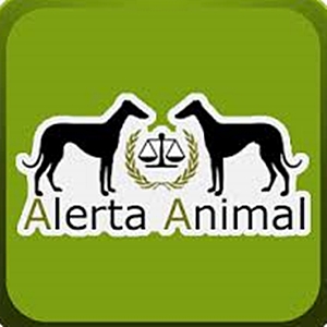 Alerta animal, la aplicación para denunciar casos de abandono o maltrato Alerta animal, la aplicación para denunciar casos de abandono o maltrato