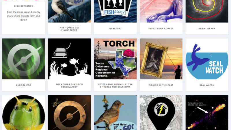 En The Zooniverse hay proyectos de todo tipo En The Zooniverse hay proyectos de todo tipo