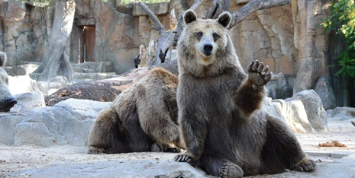 Abren los parques temáticos y de atracciones al 50 por ciento de su aforo