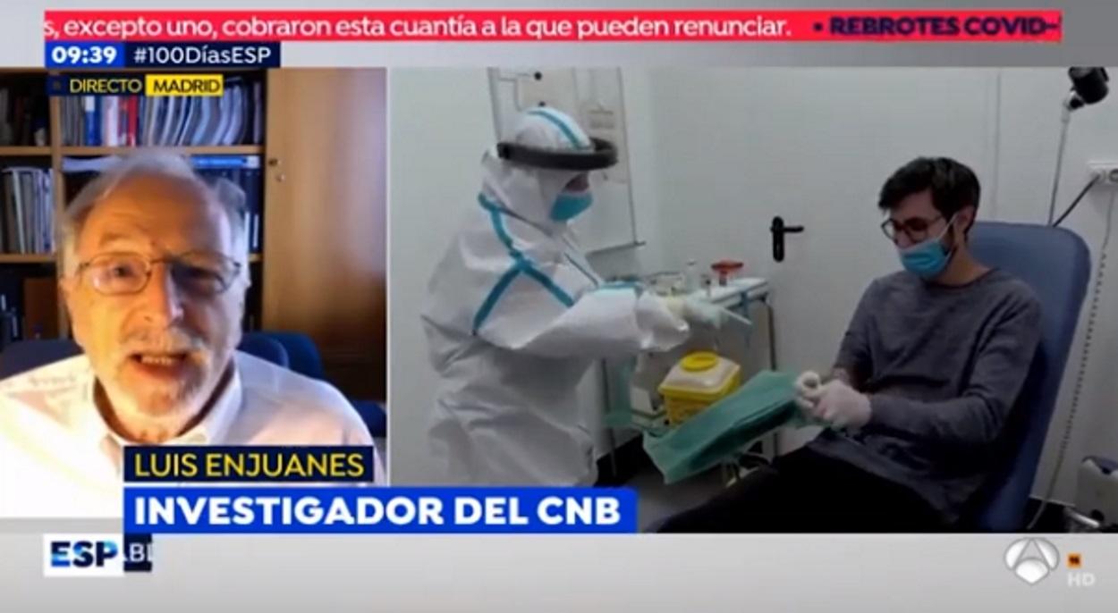 Enjuanes, el mayor experto en coronavirus de España