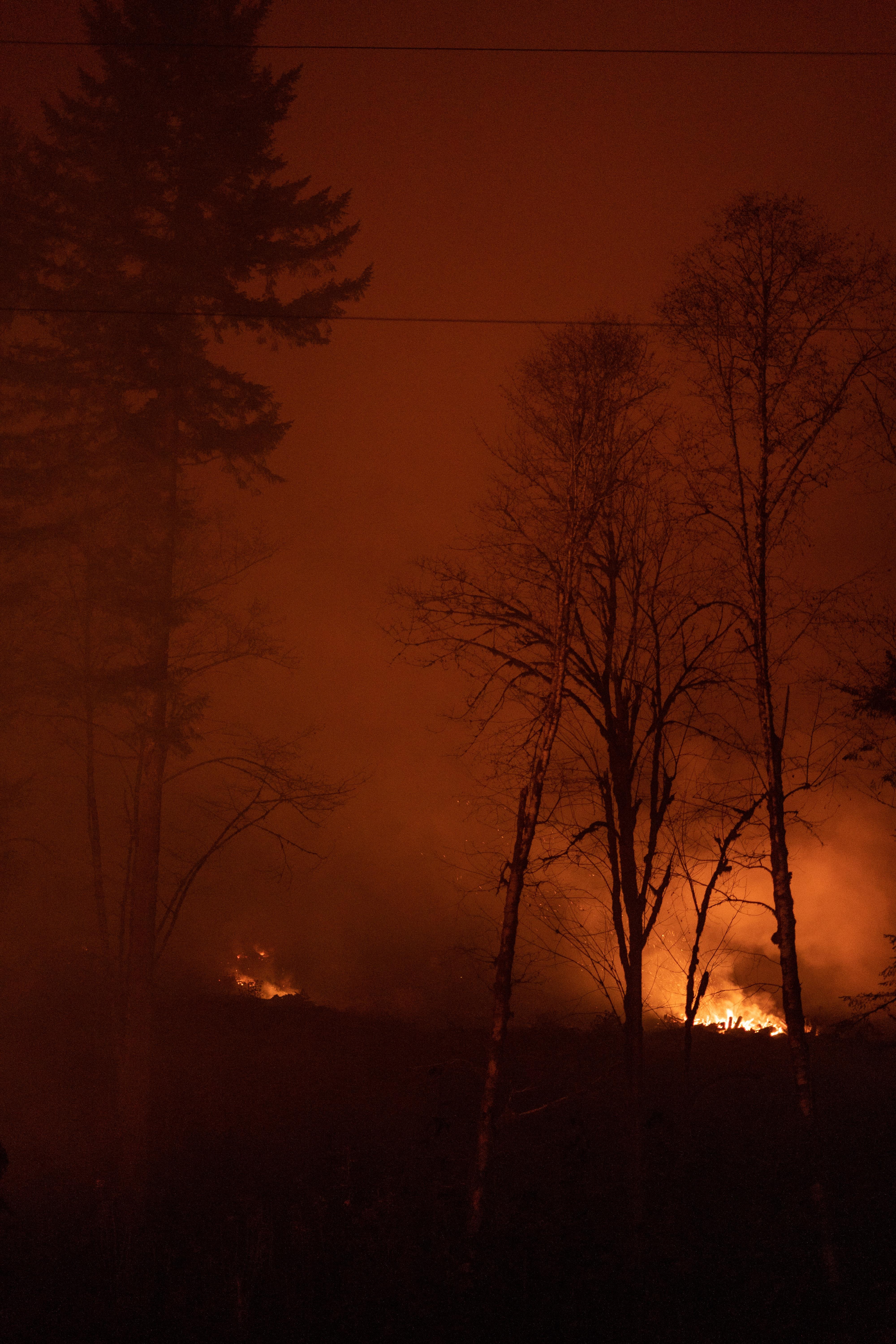 Bosque ardiendo. Cristofer Jeschke para Unsplash