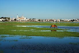 Doñana Doñana