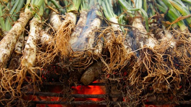 Calçots de Valls