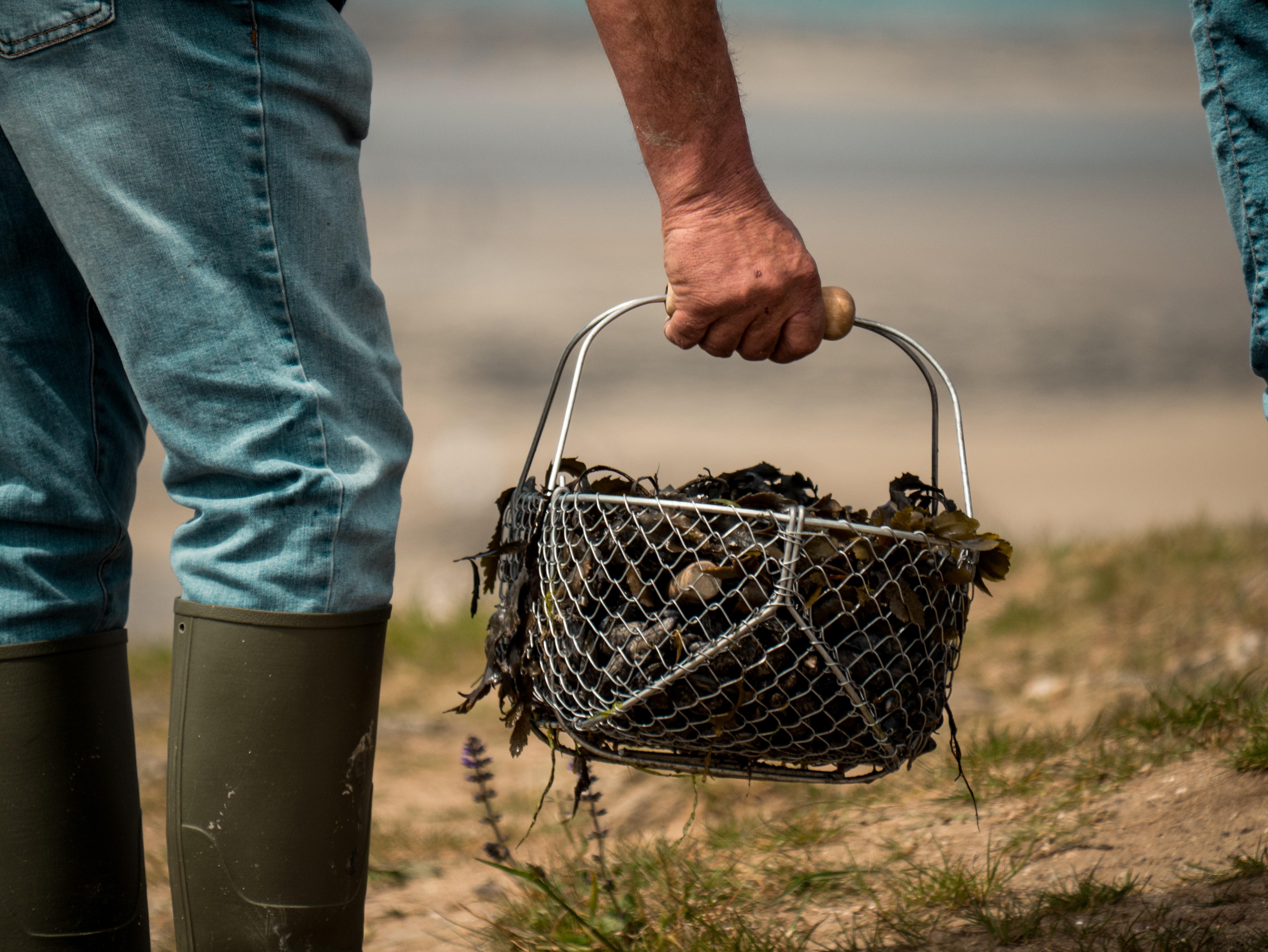 Hombre recolectando mejillones. Matt Seymour para Unsplash