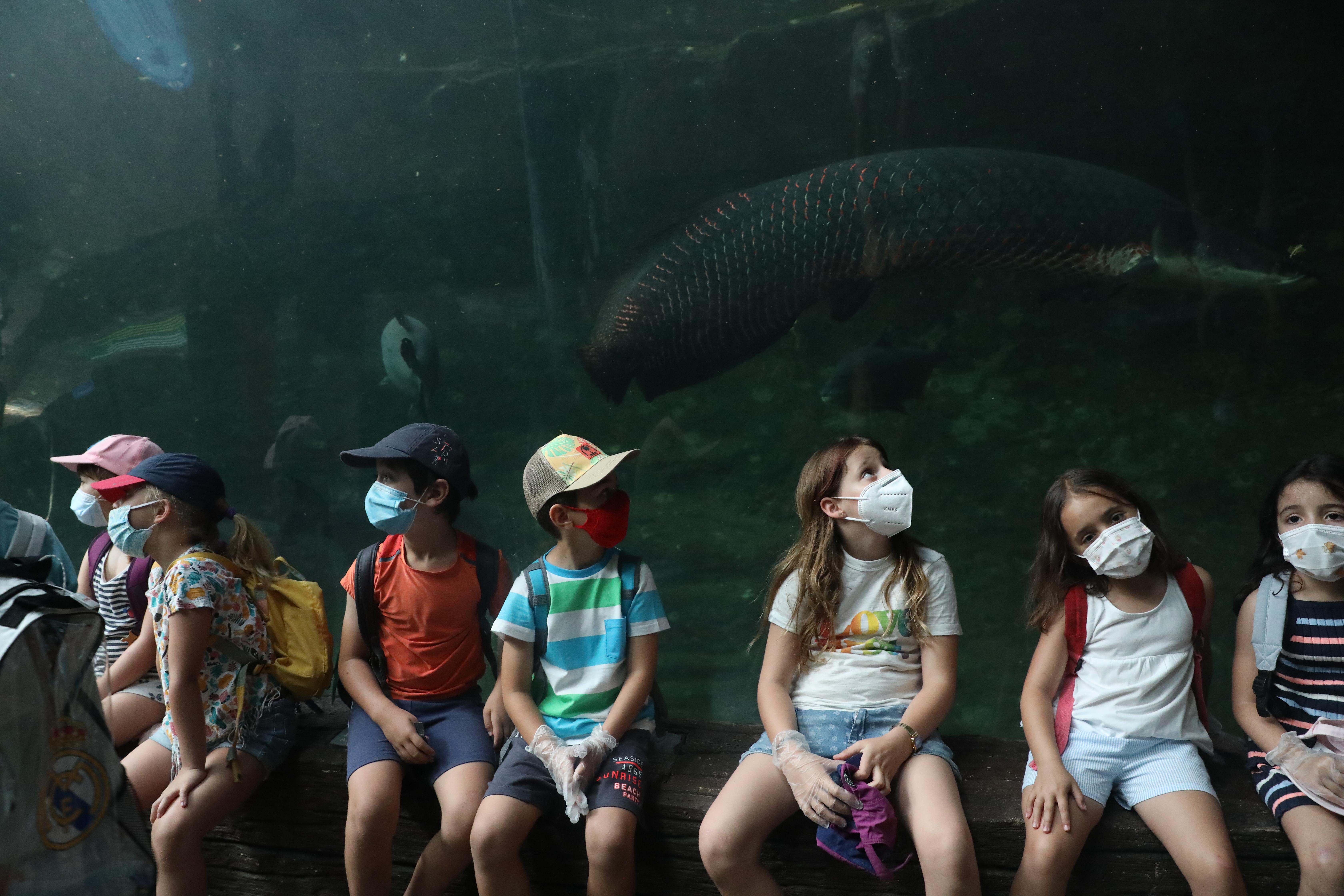 Varios niños descansan junto acuario faunia - EuropaPress