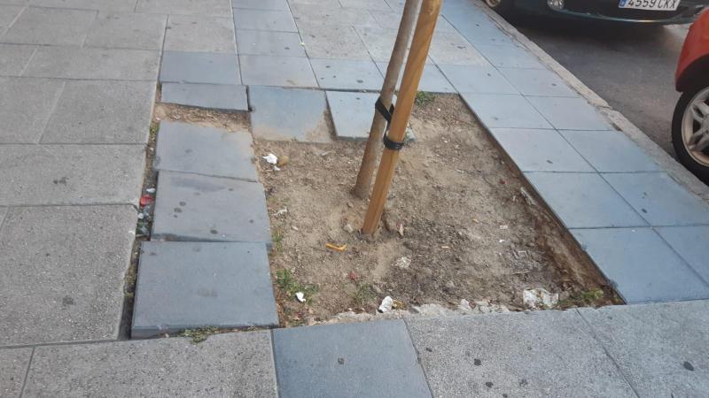Se plantan árboles nuevos y no se arregla la acera alrededor en el Paseo de Extremadura Se plantan árboles nuevos y no se arregla la acera alrededor en el Paseo de Extremadura
