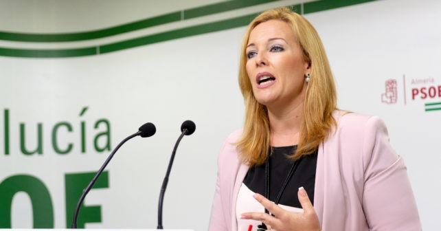 Teresa Piqueras, portavoz PSOE