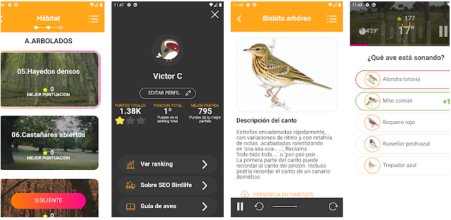 Avefy ¿Qué ave está cantando Apps en Google Play