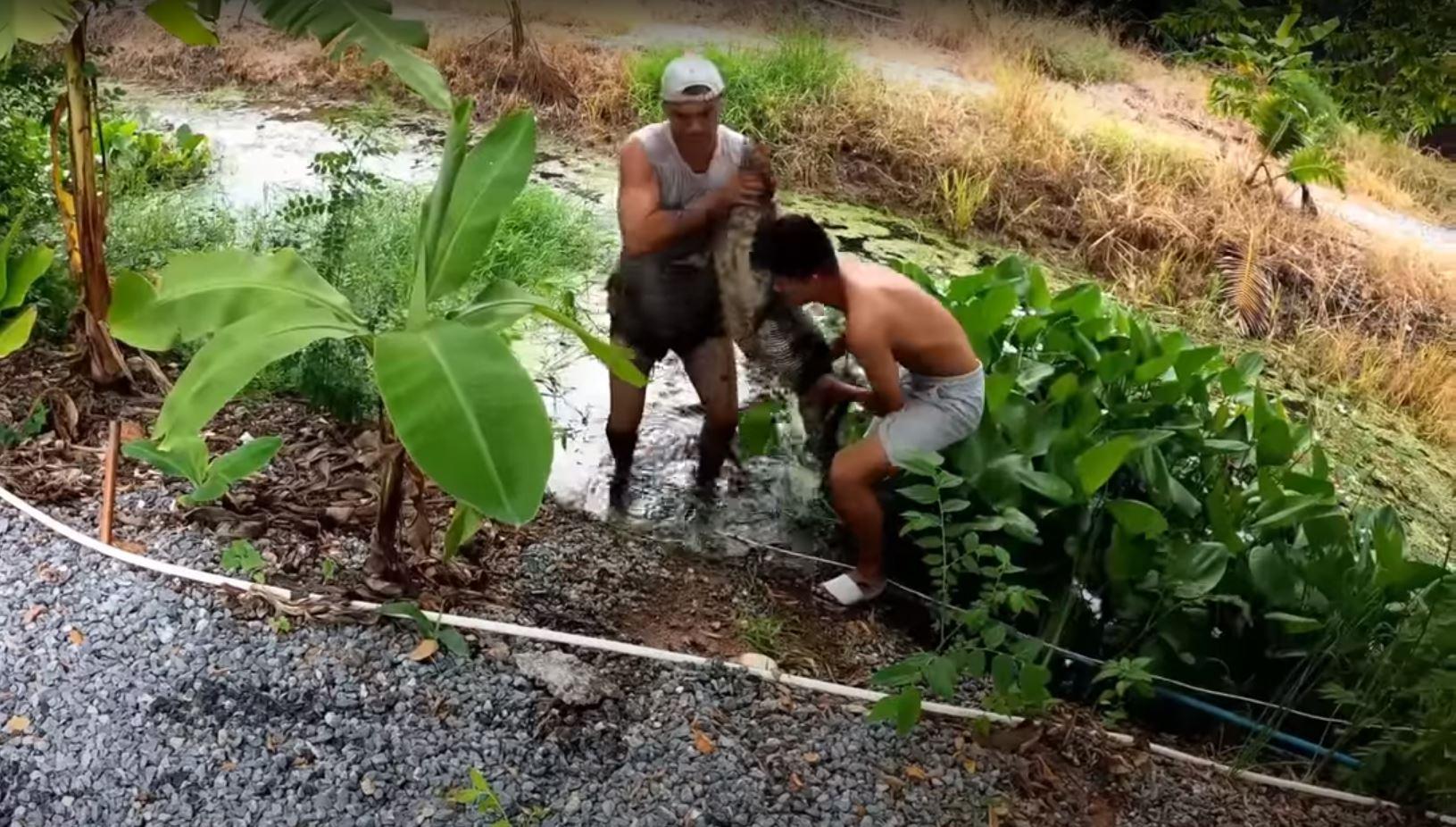 Frank Cuesta captura un lagarto gigante que devoraba los animales de su protectora
