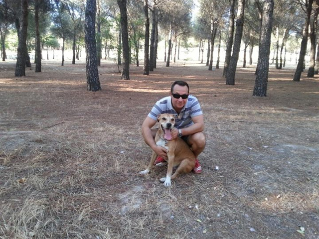 La Comunidad de Madrid confirma que ha "eutanasiado" al "perro mascota" de la enfermera