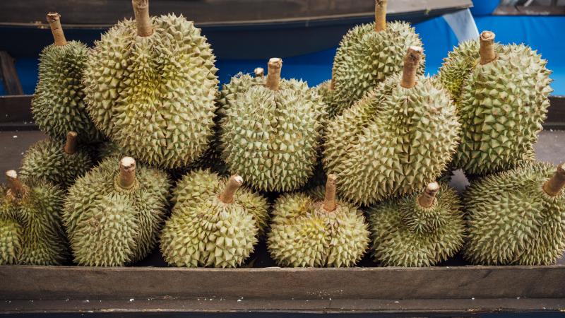 Así es el durián, por si no lo han visto nunca