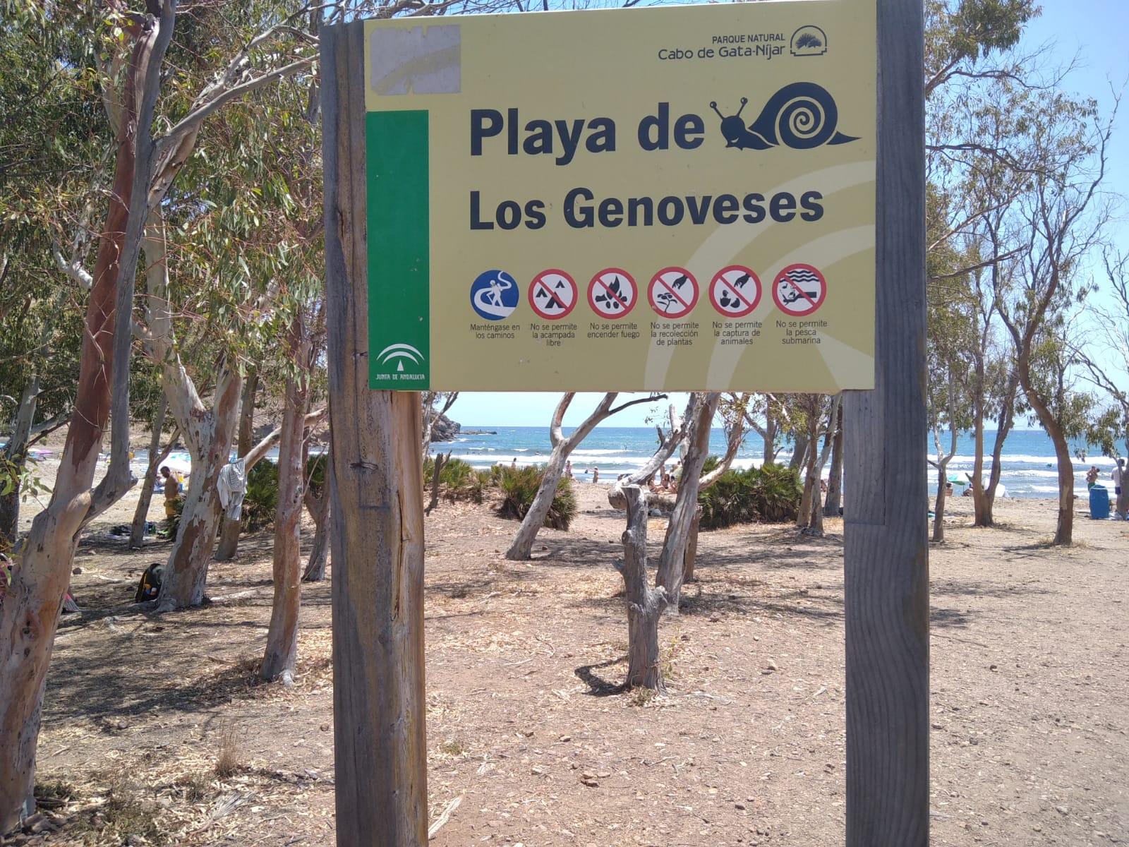 Playa de los Genoveses. Juan Luis Valenzuela. ElPlural.com Playa de los Genoveses. Juan Luis Valenzuela. ElPlural.com