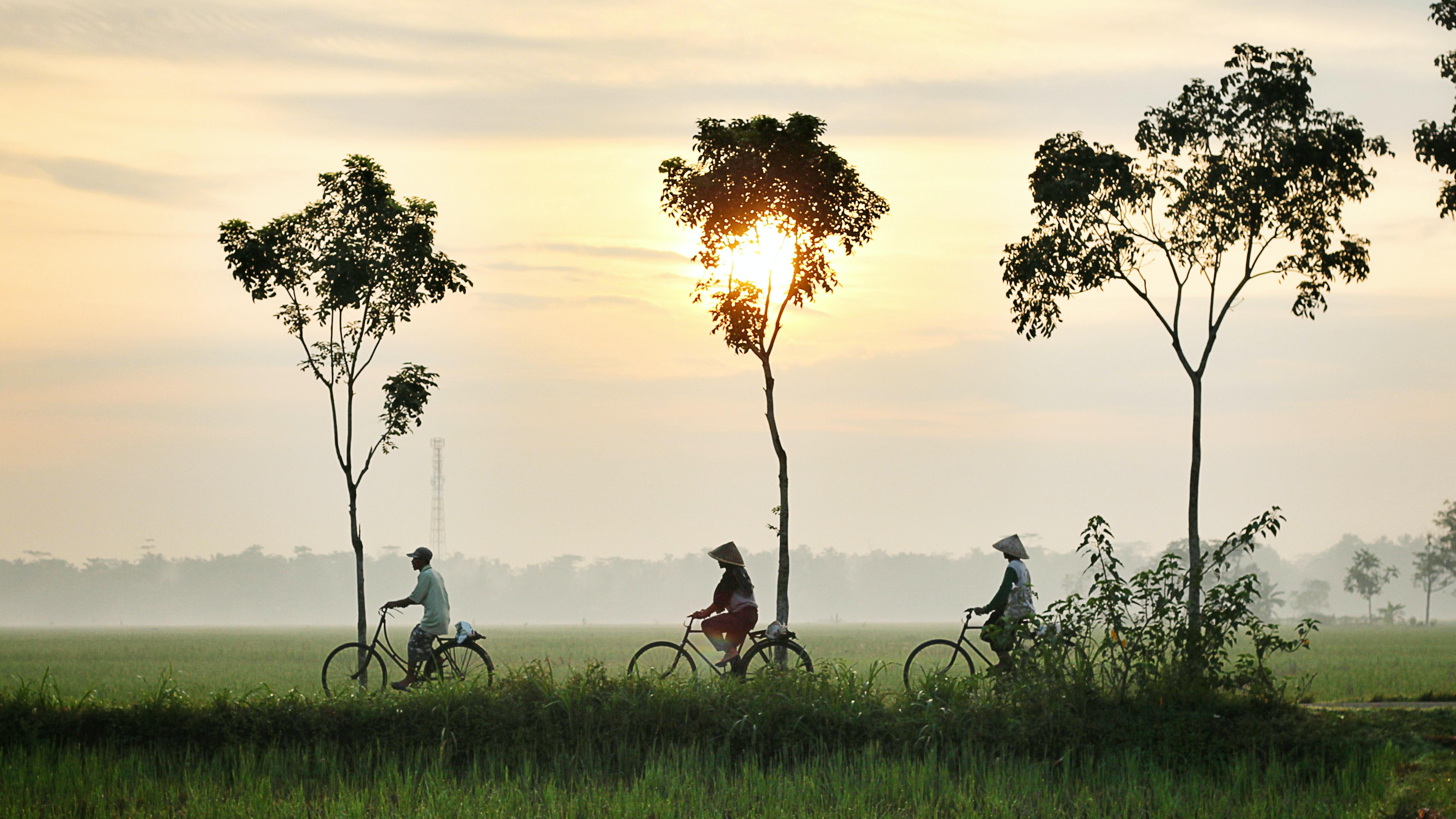 Indonesia. Fuente: Unsplash.