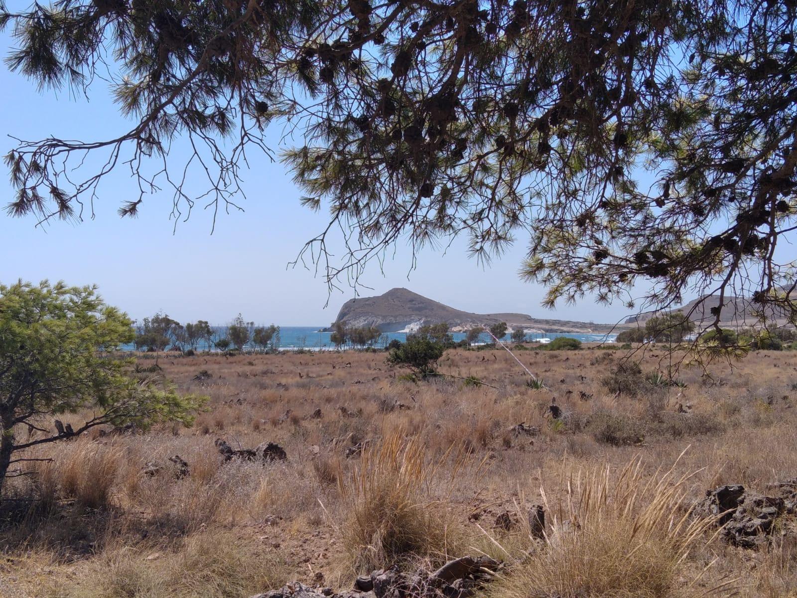 El Parque Cabo de Gata-Níjar en peligro por la construcción hotelera. Juan Luis Valenzuela, ElPlural.com