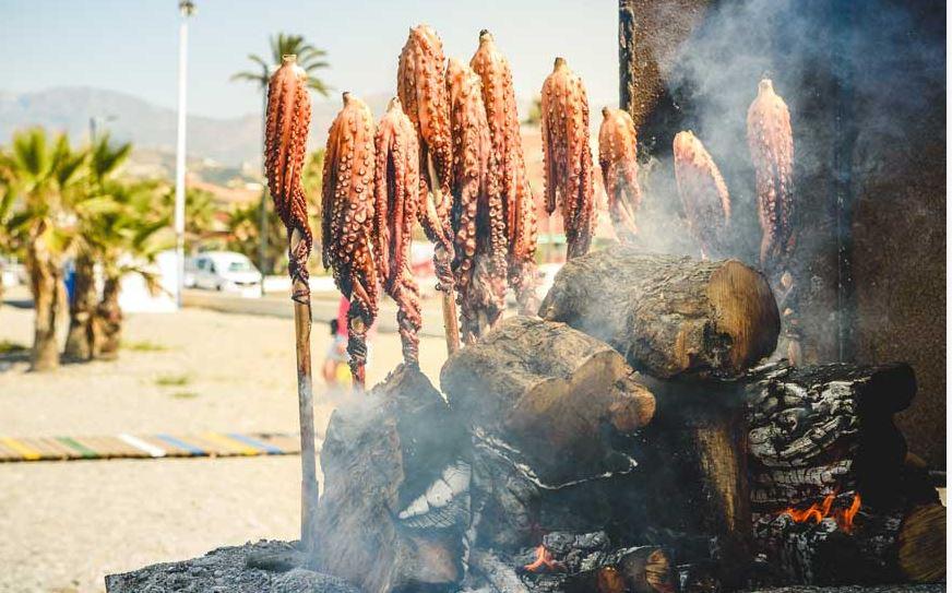 Pulpo, Granada. 