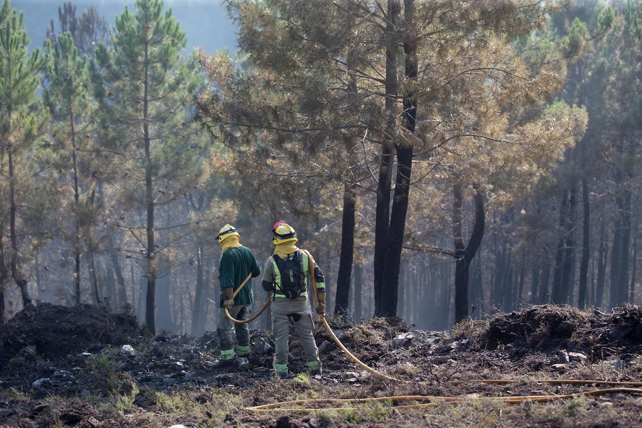 Los incendios de las últimas semanas, en la imagen el ocurrido en Navia de Suarna, han arrasado miles de hectáreas (Foto: Carlos Castro/EP).