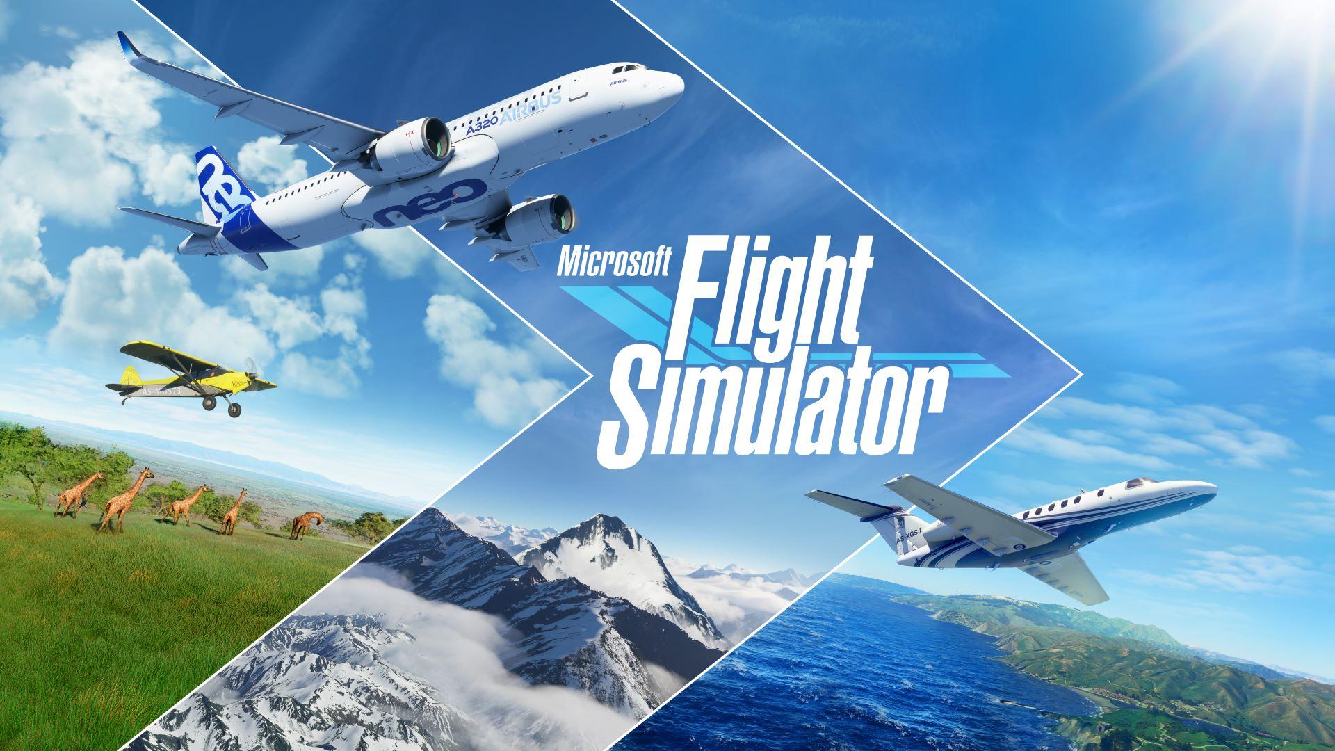 Vuleve Microsoft Flight Simulator