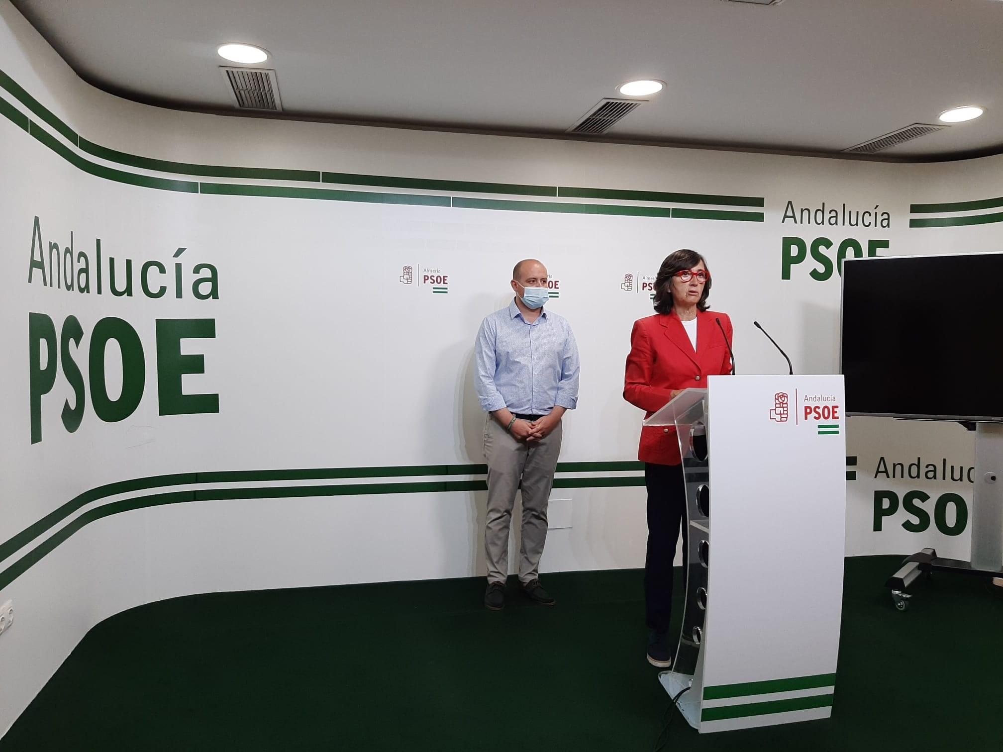 La portavoz adjunta del Grupo Parlamentario Socialista Rosa Aguilar en rueda de prensa en Almería