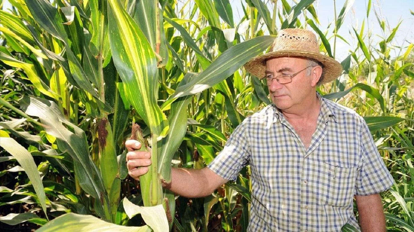 El curandero y agricultor catalán Josep Pàimes