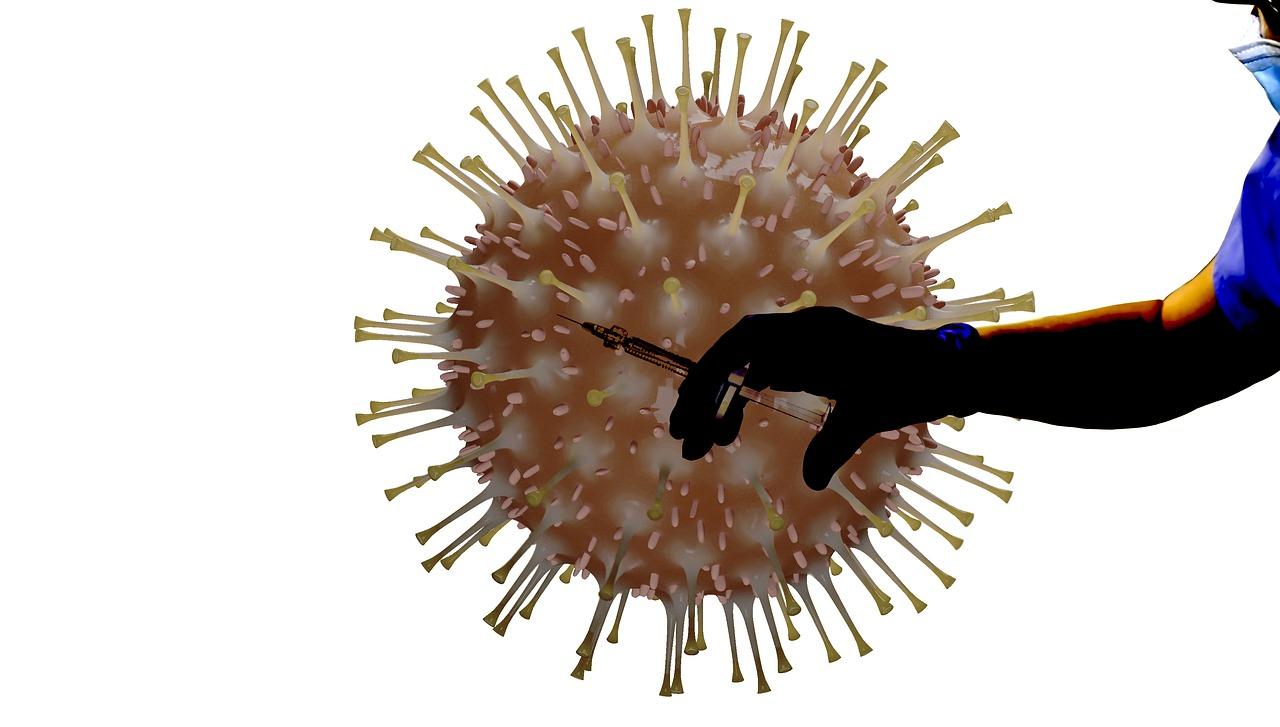 En un 99 % de todos los casos de COVID-19, los pacientes superan la infección y el virus desaparece del cuerpo. Pixabay