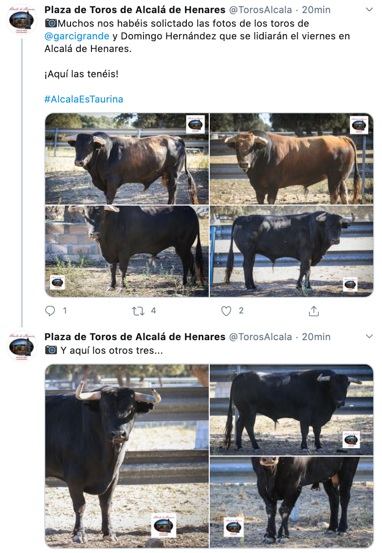 Toros de Alcalá de Henares. Twitter Toros de Alcalá de Henares. Twitter