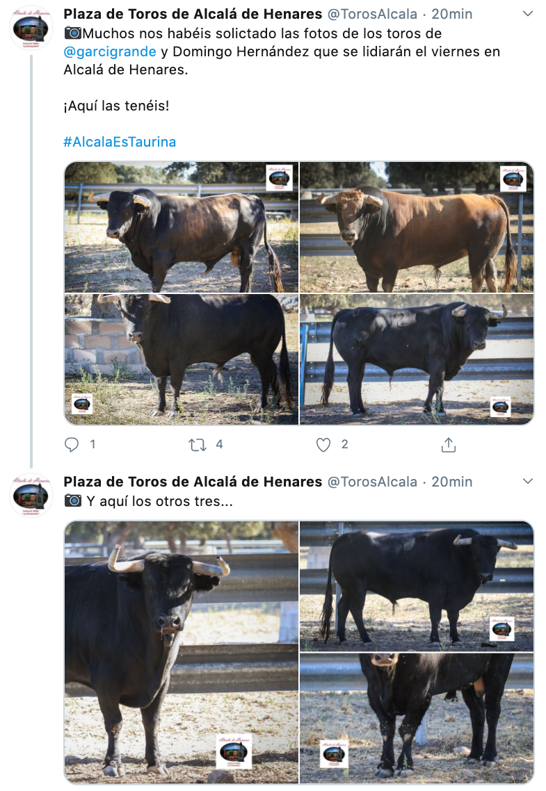 Toros de Alcalá de Henares. Twitter