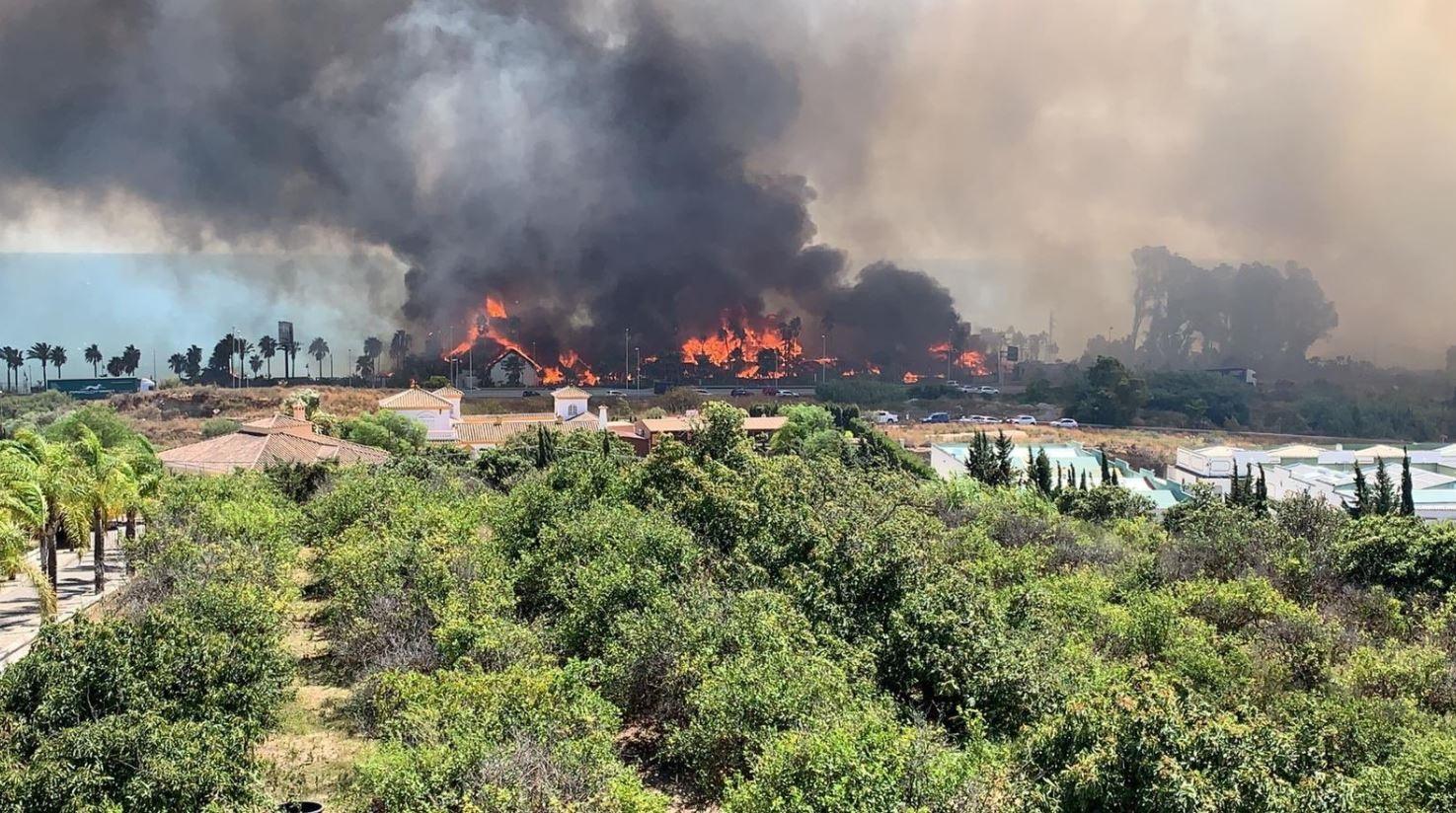 El incendio forestal declarado en Estepona (Málaga)