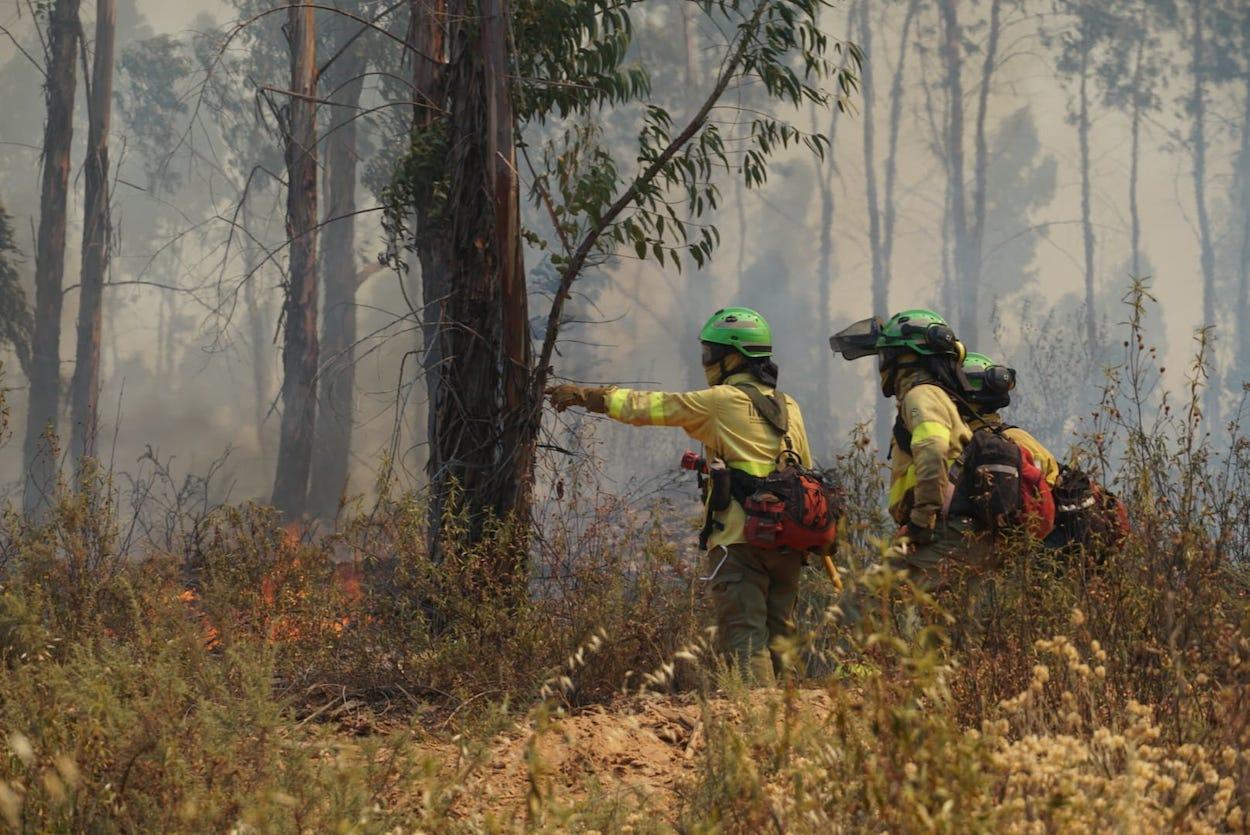 Efectivos del Infoca en la zona del incendio.