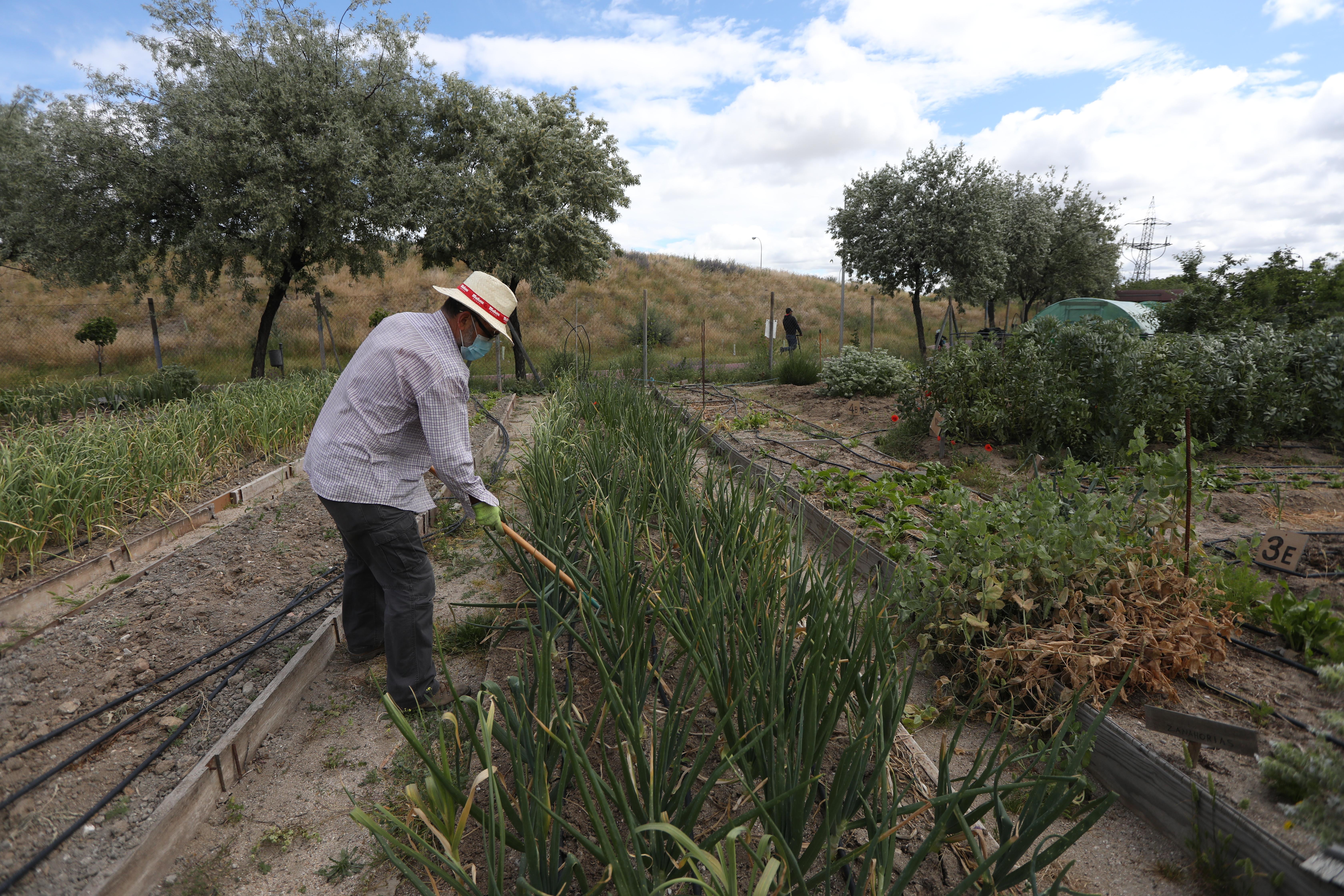 ¿Cómo afectaría a las personas mayores un nuevo confinamiento? - EP