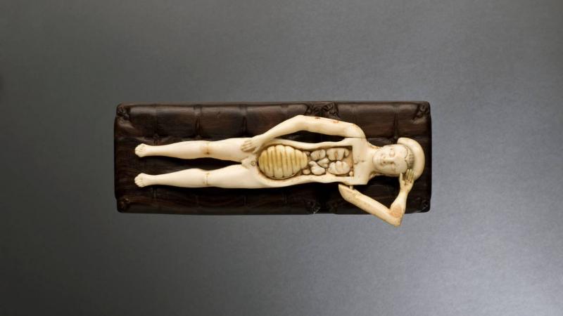 Figura anatómica de marfil, Alemania, 1601. Museo de ciencia de Londres