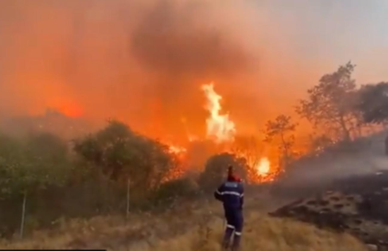 Incendio en Cualedro (Ourense). 
