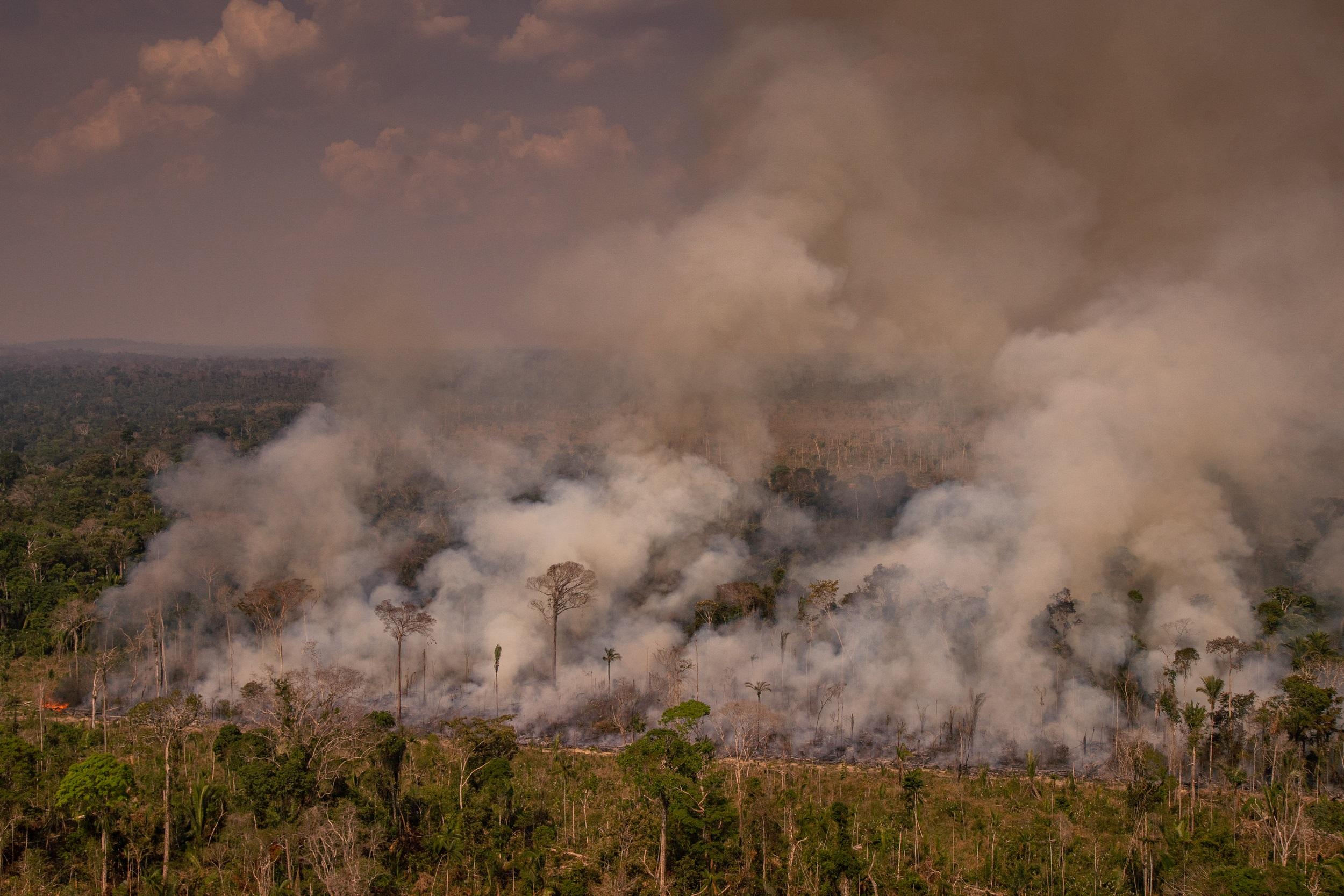 Incendios en Brasil