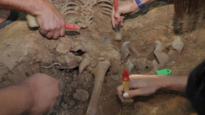 Exhumación de cuerpos de víctimas del franquismo.
