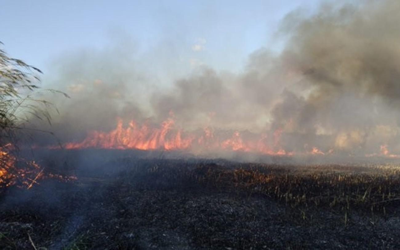 Incendio en s'Albufera