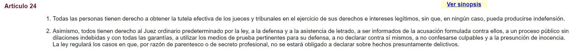 artículo 24 constitucion española