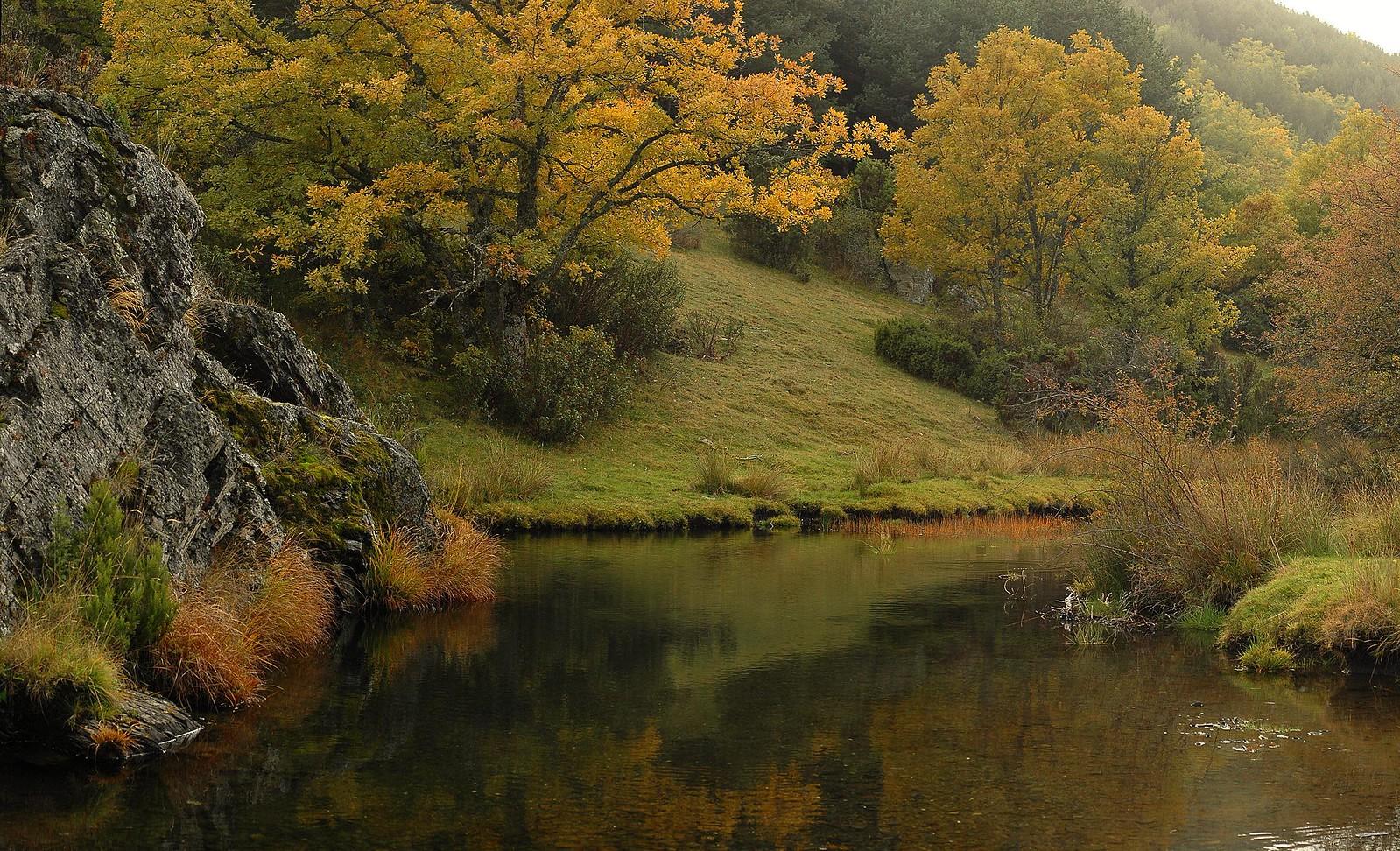 El Hayedo de Tejera Negra, en Cantalojas, ofrece en otoño toda una sinfonía de colores