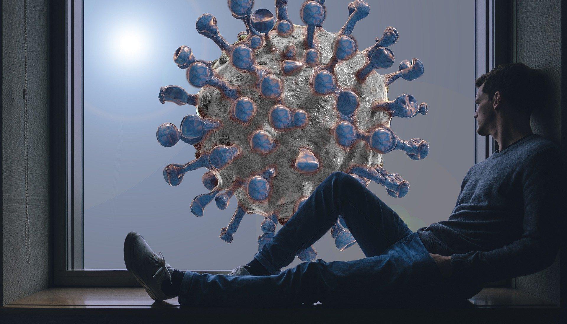 El coronavirus no tiene alas, pero a veces vuela - Pixabay
