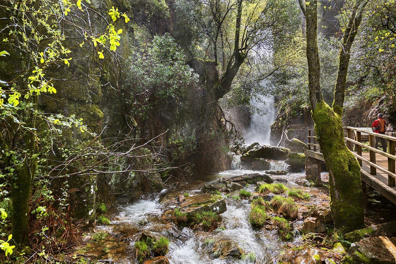 La ruta del Chorro de Los Navalucillos es una popular excursión apta para todas las edades, de 9 km de recorrido sin mucha dificultad, que culmina en una maravillosa cascada enclavada en el entorno del Parque Nacional de Cabañeros