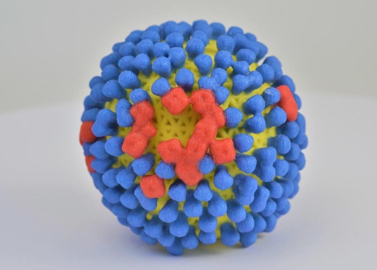 Modelo del virus de la gripe