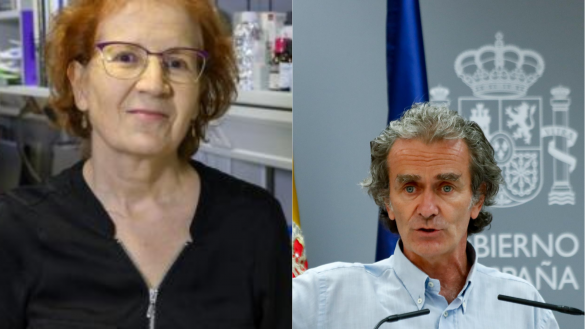 La viróloga Margarita de Val contradice a Simón y advierte del peligro de esta actividad