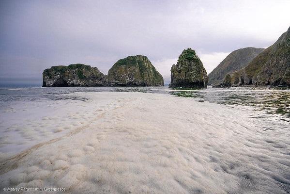 Desastre ambiental Kamchatka 