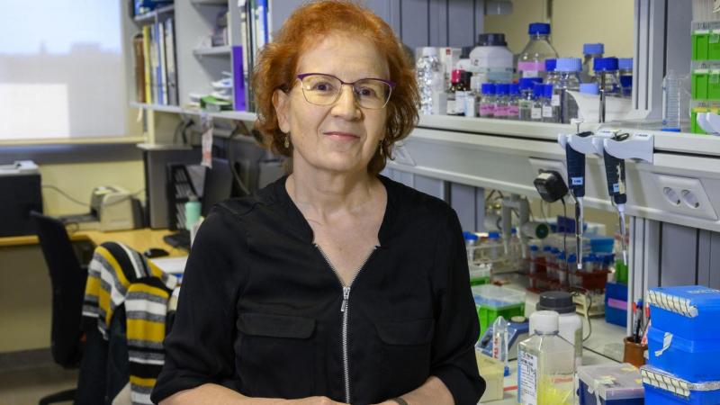 La viróloga y una de las científicas más reconocidas del Consejo Superior de Investigaciones Científicas (CSIC), Margarita del Val. Fuente: Europa Press.