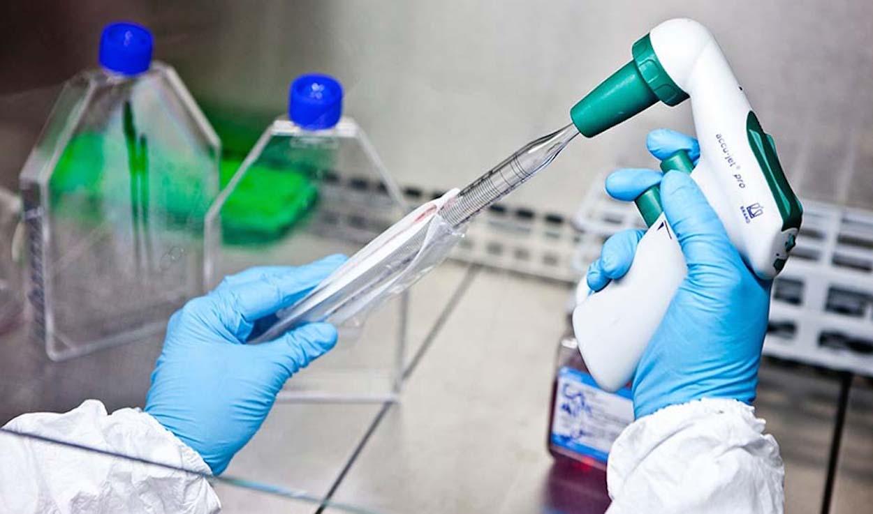 Procesamiento de muestras en un laboratorio de análisis de coronavirus. JUNTA DE ANDALUCÍA