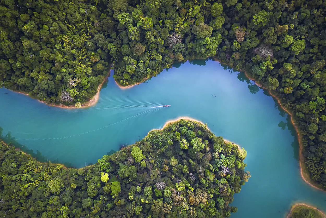 Este sábado se celebra el Día Internacional contra el Cambio Climático