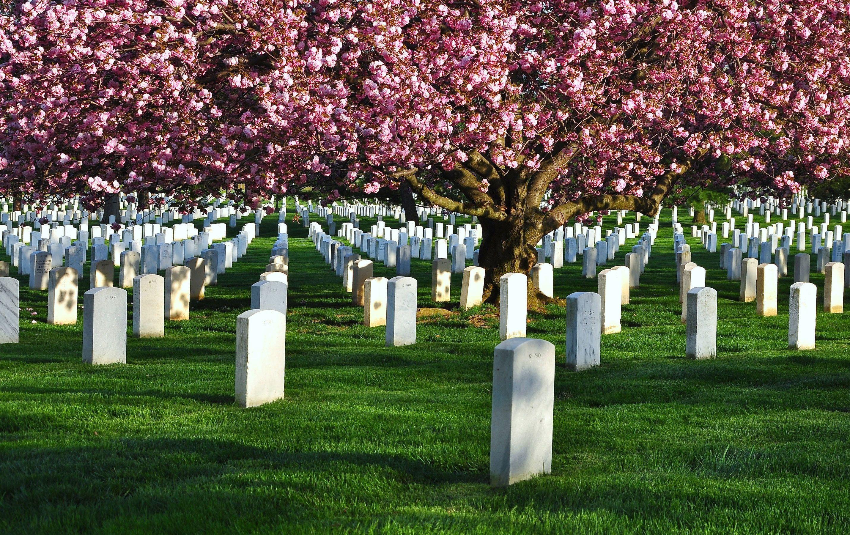 Cementerios más bonitos del mundo: Arlington.