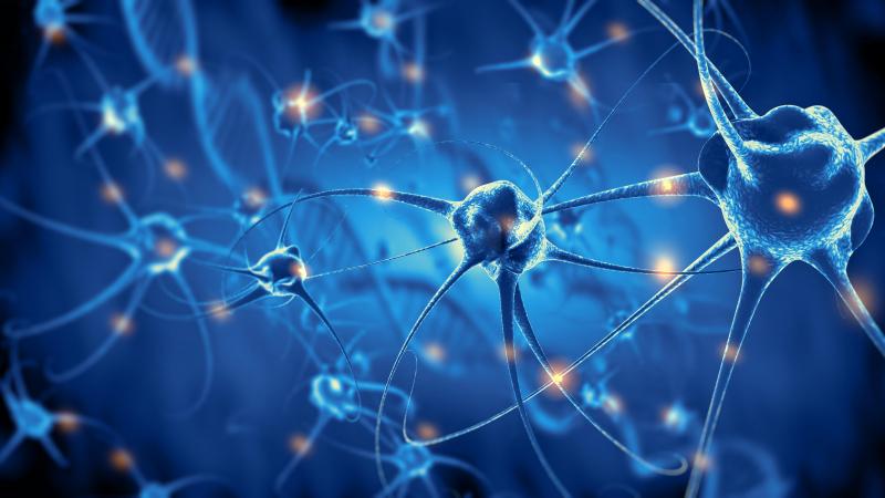 Para que haya consciencia, tiene que haber una actividad cerebral mínima Para que haya consciencia, tiene que haber una actividad cerebral mínima