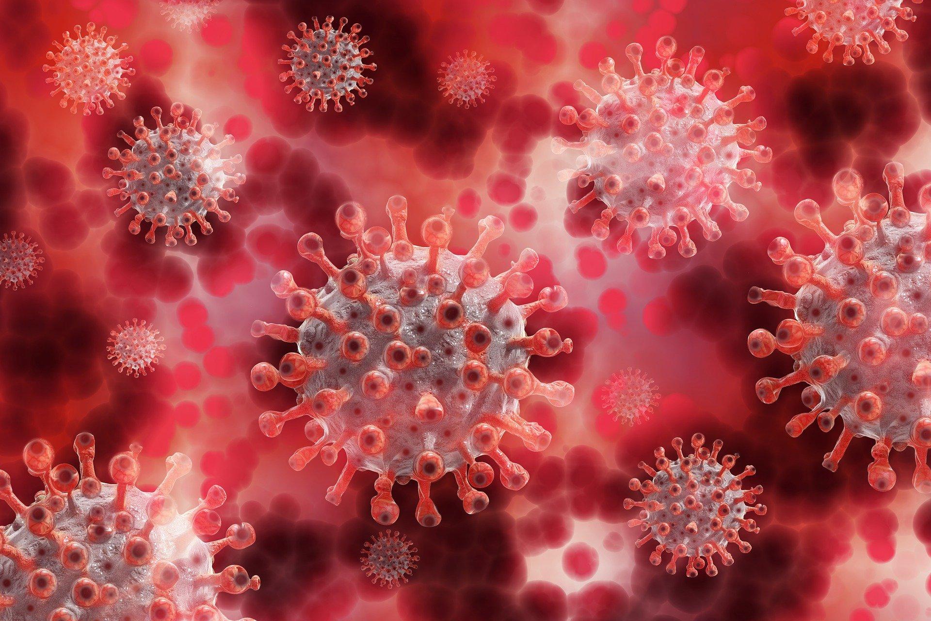 Coronavirus. Pixabay